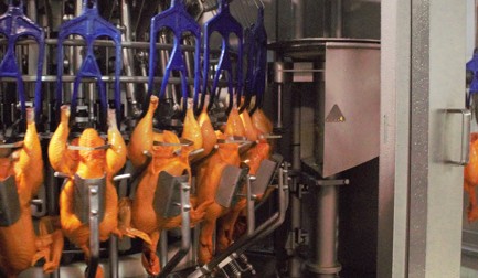 Avícola El Carmen opte pour la transformation automatisée