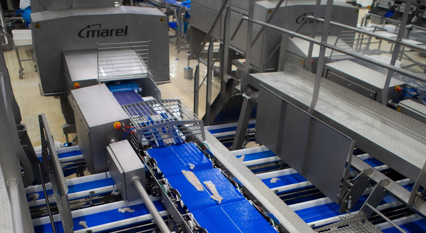 Fish fillets are intelligently sorted according to customer orders