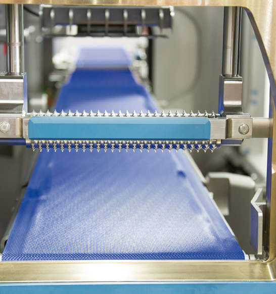 FALCON Evolution Belt