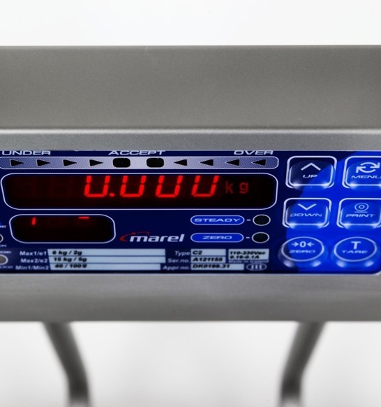 Marel M1100 Floor scale for industrial weighing