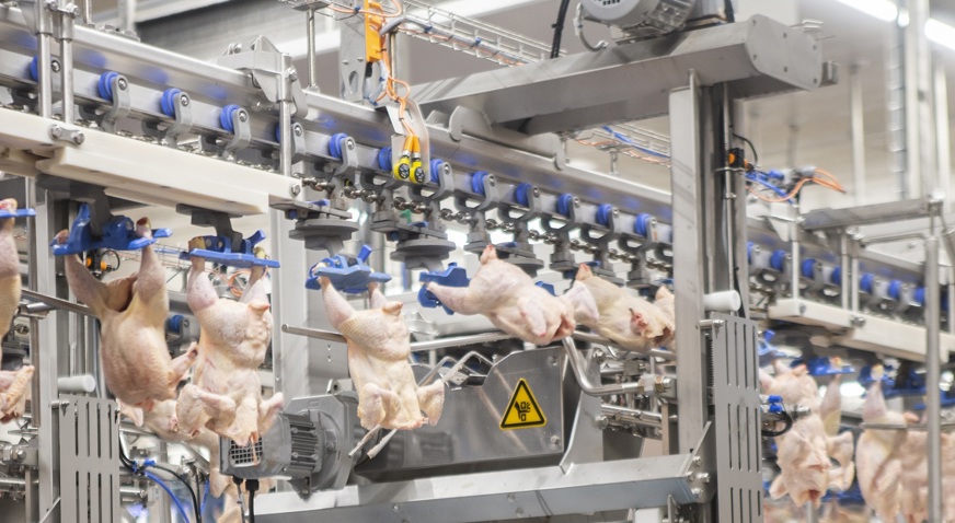 Q Wing Drop Station IRIS