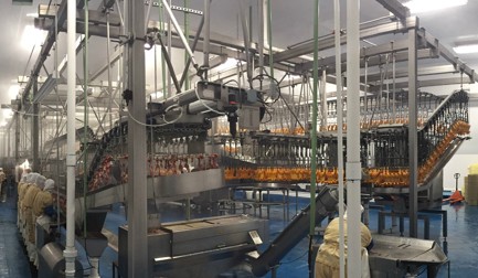 Nutrypollo est «synonyme de qualité»