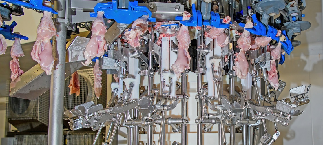 Banham Thigh Fillet System