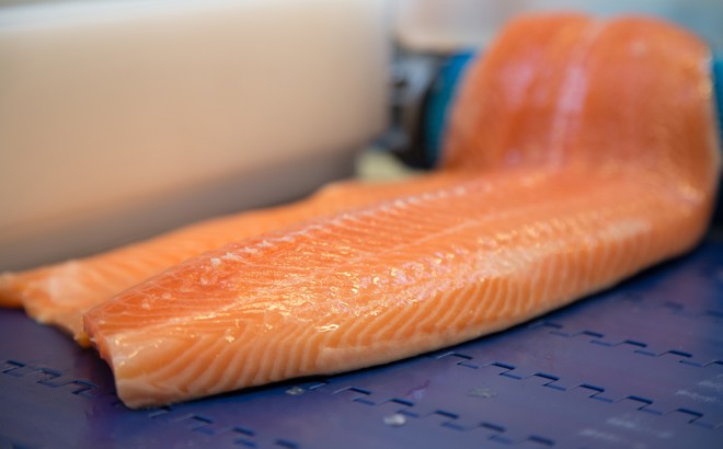 Close up of Salmon Fillet