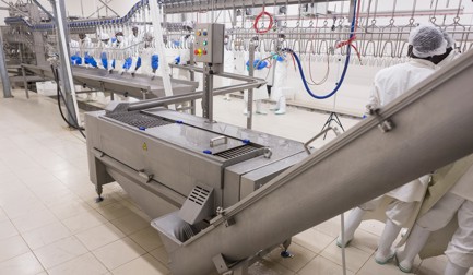 Processador de Moelas MG-150