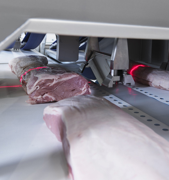 Marel I-Cut 610 PortionCutter pork