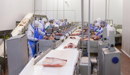 Désossage et parage StreamLine