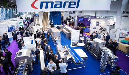 Seeing is believing – highly automated fish processing in Brussels