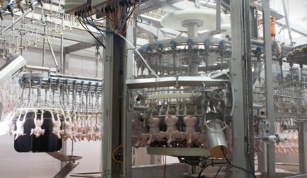 15,000 bph processing