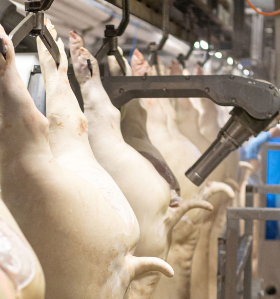 M Line Pig Bung Remover