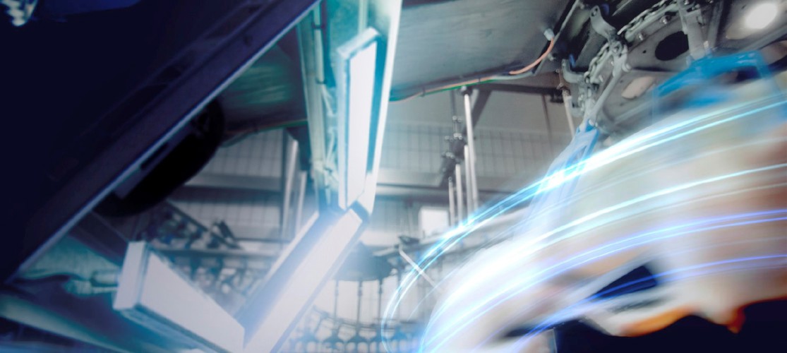 IRIS Poultry Processing Quality Grading