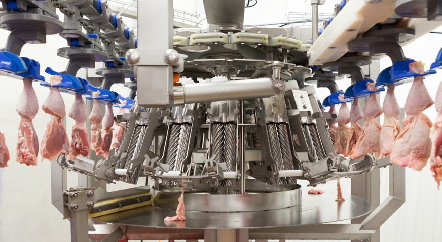 Thigh Fillet System Deskinner 2500